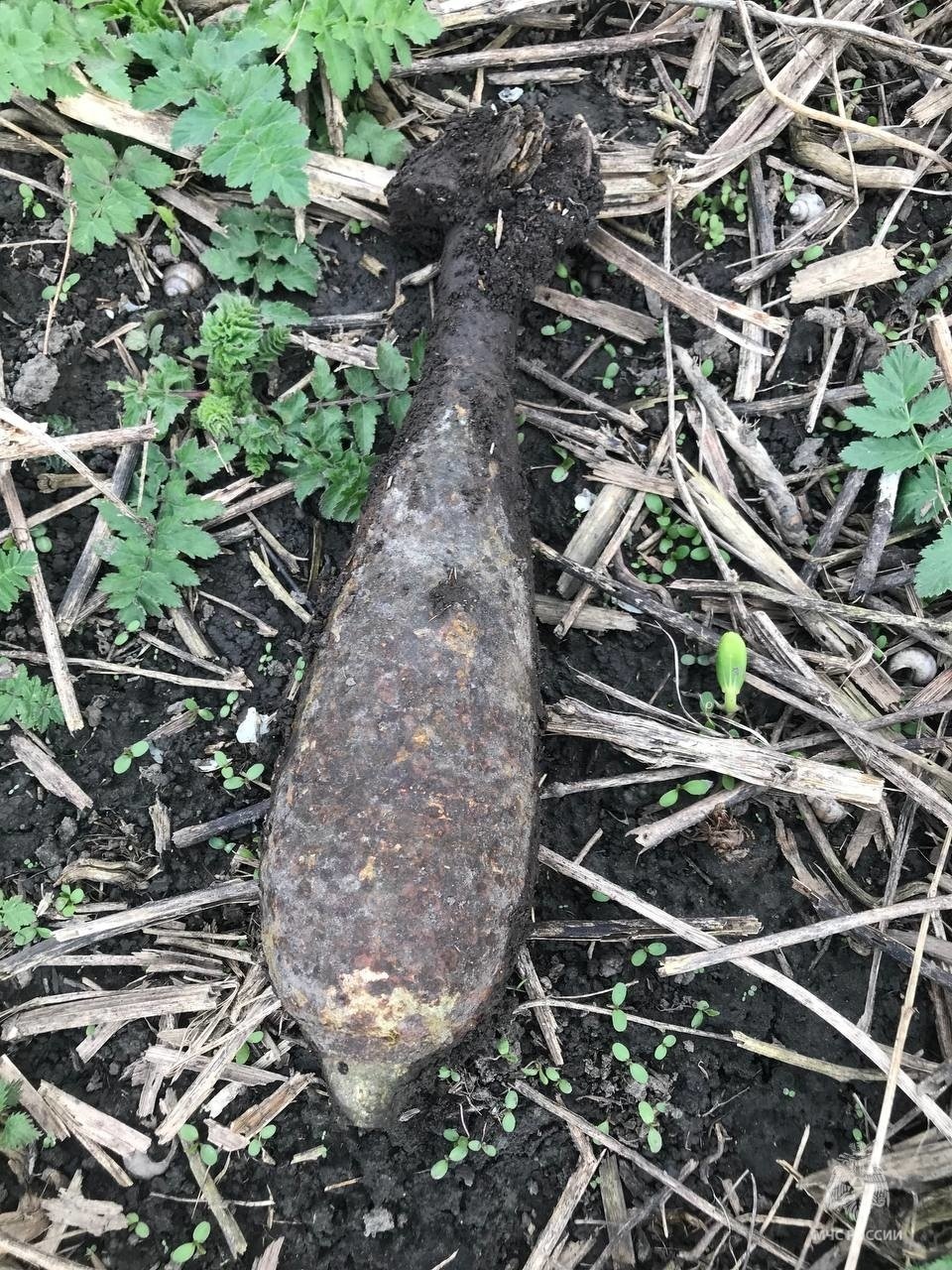 В поселке Северный Белгородского района обнаружен взрывоопасный предмет